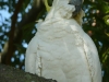 p1010201.jpg