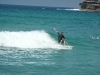 p1010230.jpg