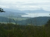Cape Tribulation