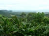 p1070050.jpg