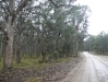 p1010864.jpg