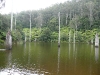 p1030069.jpg