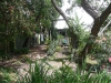 p1010684.jpg