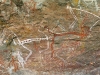 p1050335.jpg