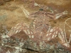Kakadu