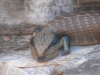 p1050026.jpg