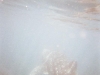 f1000019.jpg