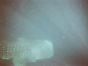 f1000020.jpg