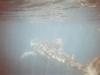 Ningaloo - Sous Marin
