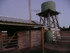QueenWood farm