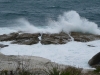 Sydney sous la pluie