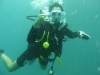 The Great Barrier Reef