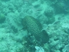 p1220866.jpg