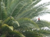 p1010650.jpg