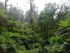 p1020111.jpg