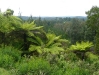 p1020140.jpg