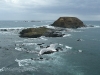 p1020332.jpg