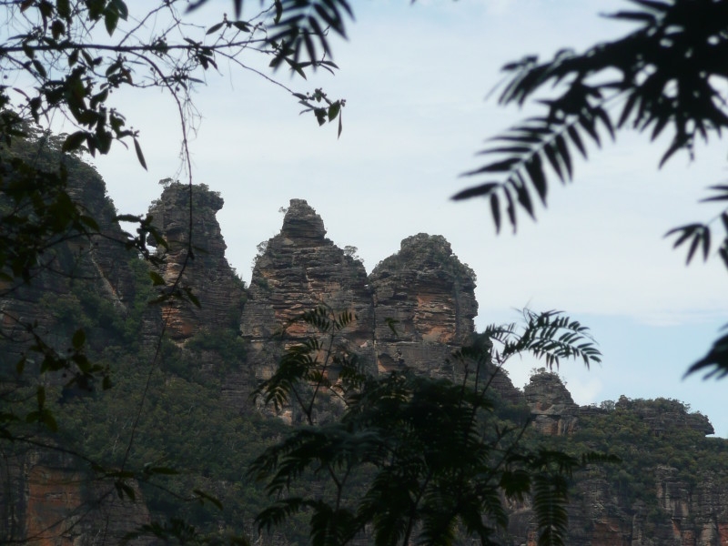 p1010537.jpg